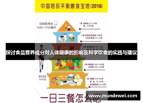探讨食品营养成分对人体健康的影响及科学饮食的实践与建议