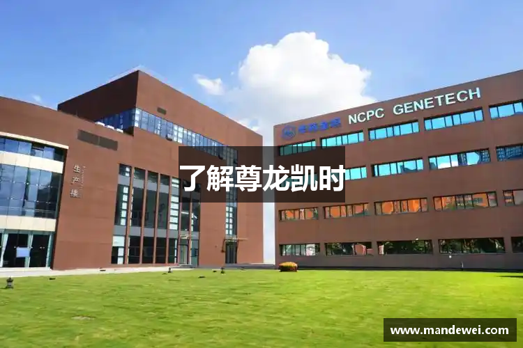 了解尊龙凯时